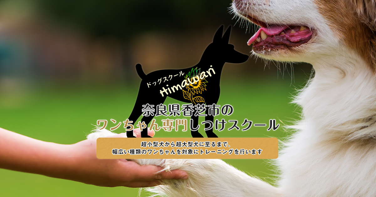 ドッグスクール Himawari｜ワンちゃん専門しつけスクール