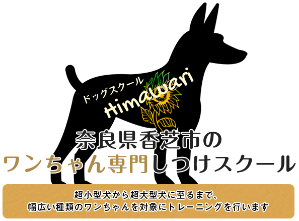 奈良県香芝市のワンちゃん専門しつけスクール